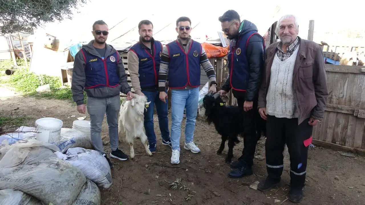 Manavgat’ta Hayvan Hırsızlığına Darbe! 7